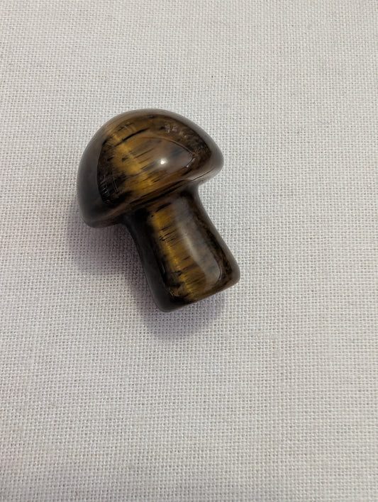 4 tigers eye mushroom mini