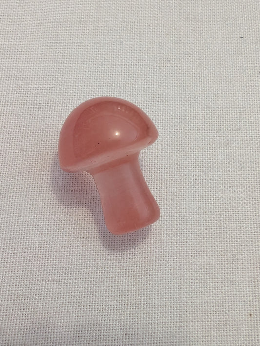 7 watermelon mushroom mini